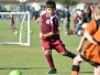 2016 Under 7 Greens