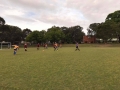 44929514_2343303242365363_5136482729386311680_n